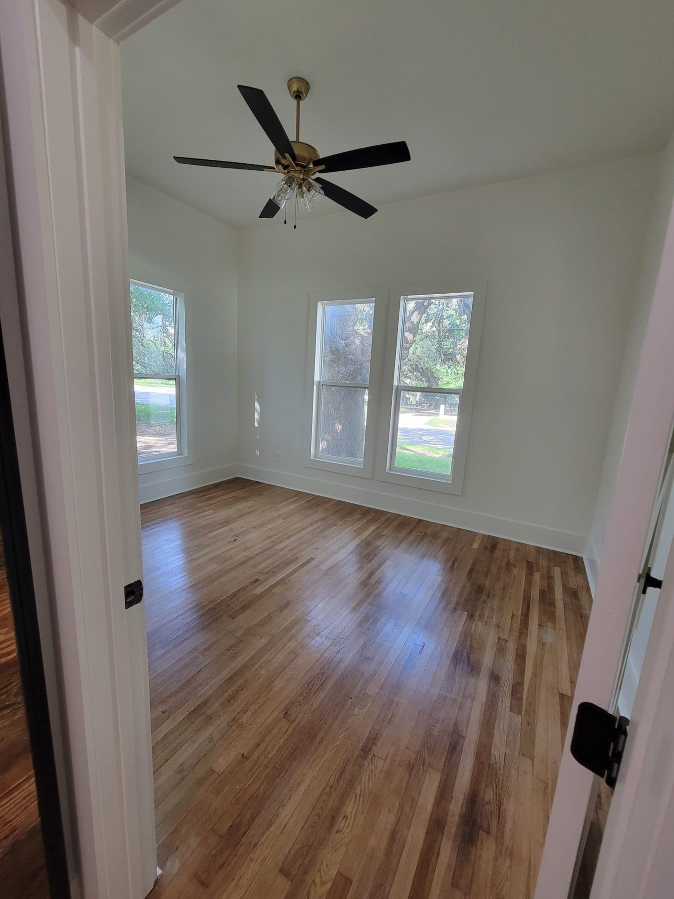 Freshly painted interior room with clean white walls and trim and wood flooring